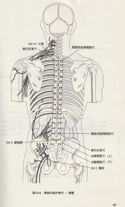 背部の経外奇穴 (2)